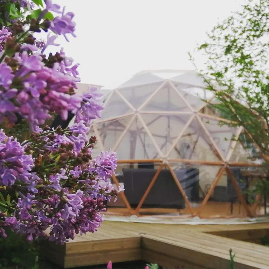 Hotel Le Dome Aux Oiseaux Bérig-Vintrange Zewnętrze zdjęcie
